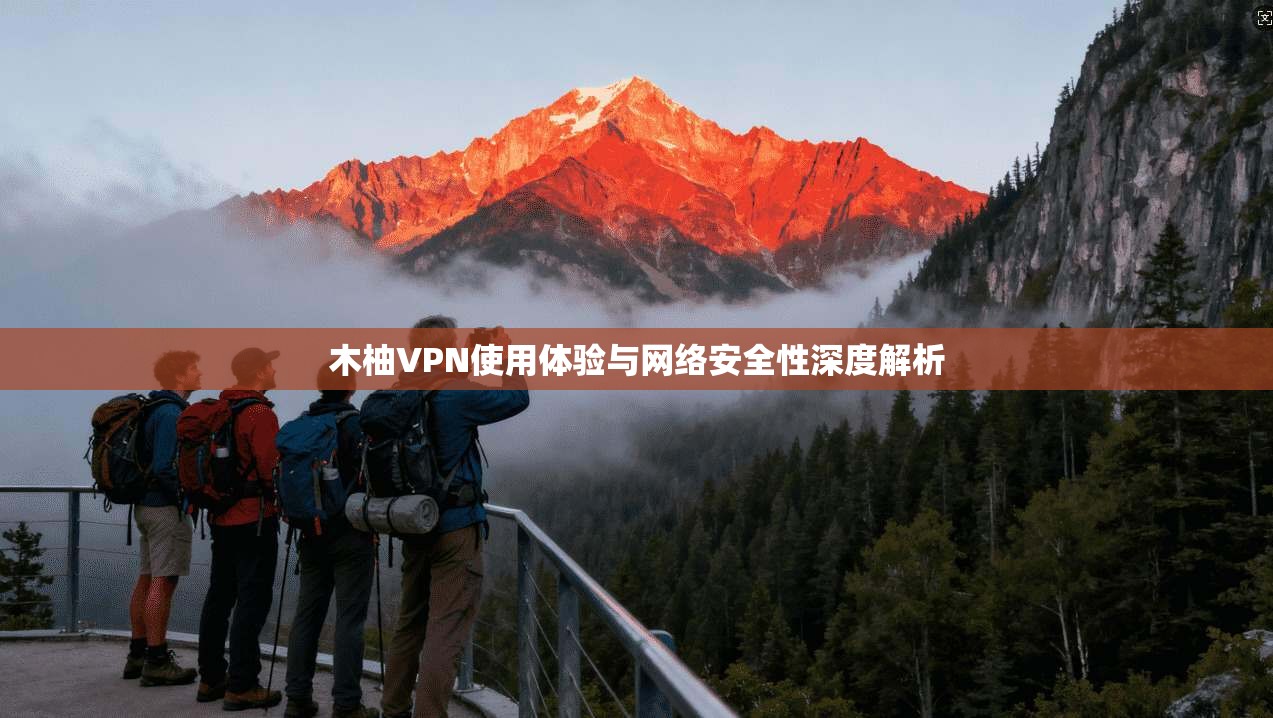 木柚VPN使用体验与网络安全性深度解析