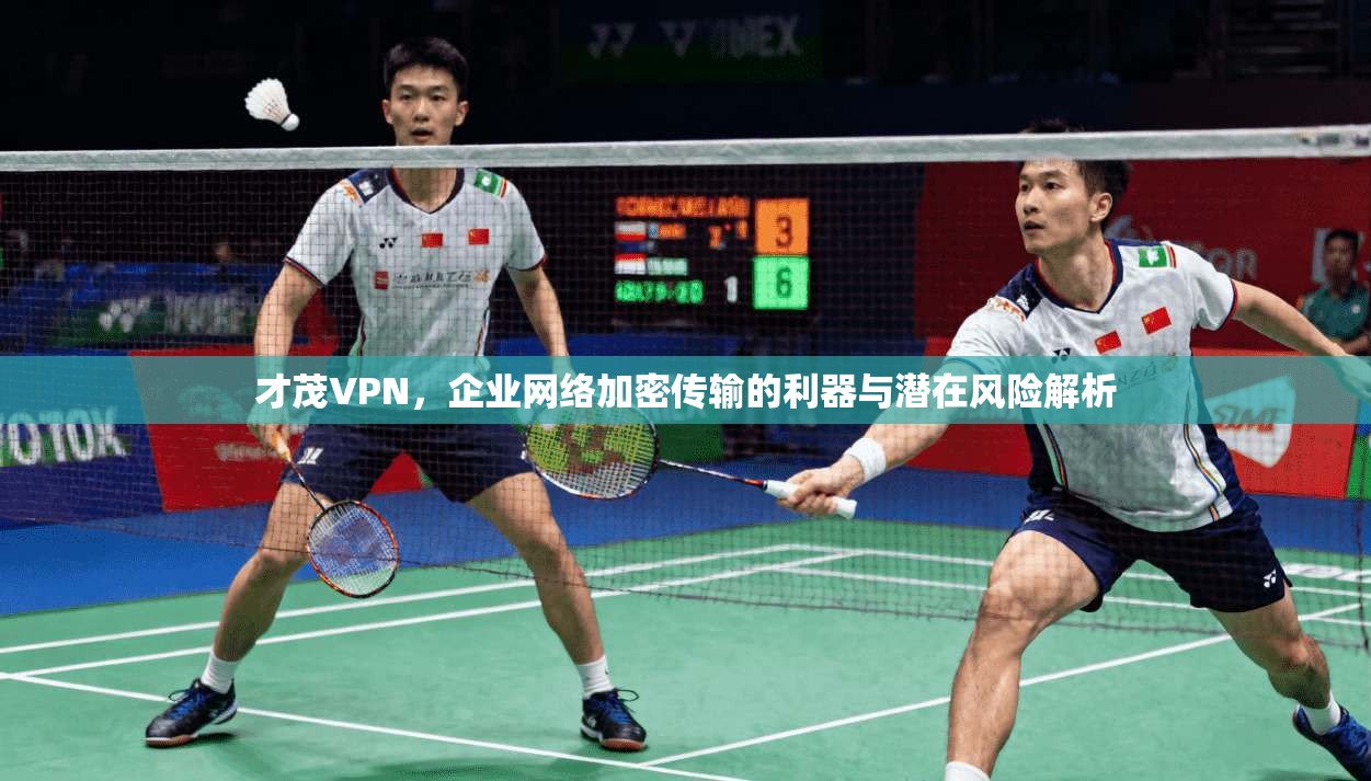 才茂VPN，企业网络加密传输的利器与潜在风险解析