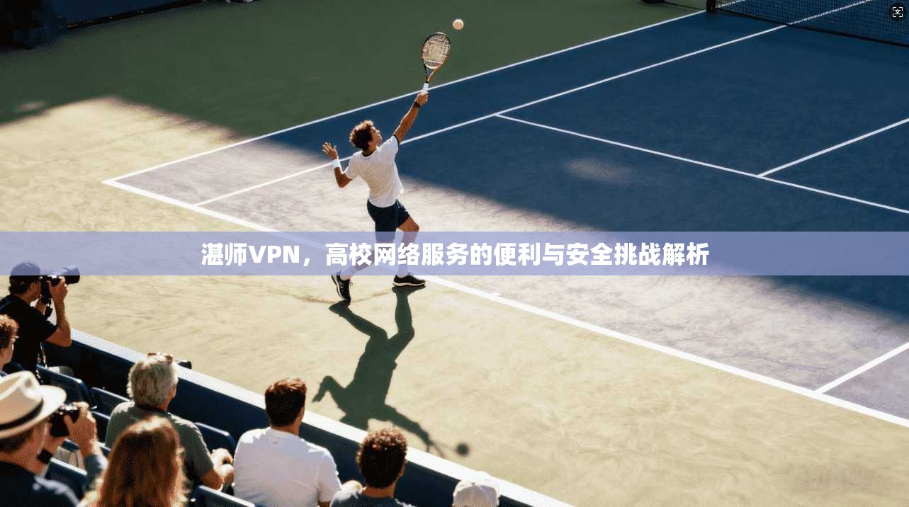 湛师VPN，高校网络服务的便利与安全挑战解析