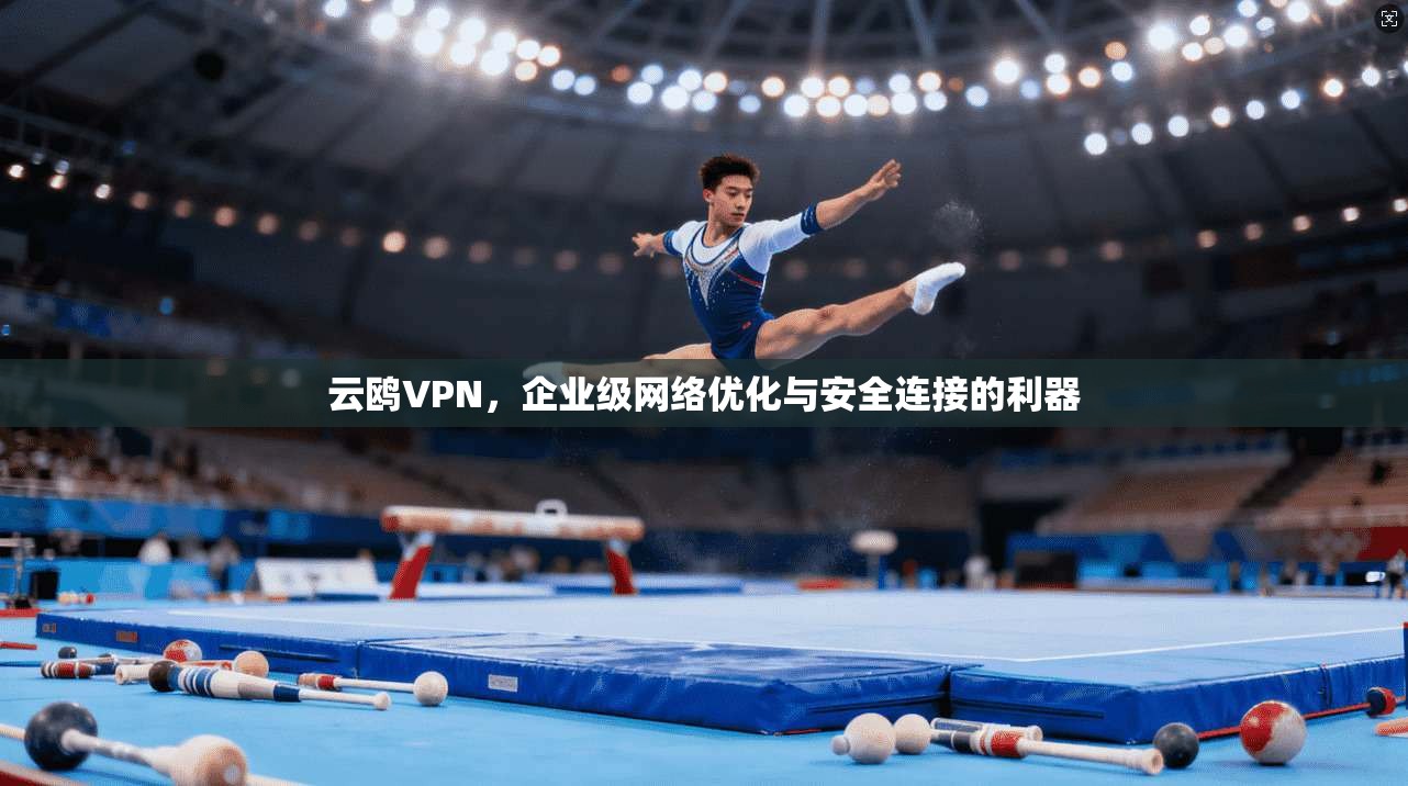 云鸥VPN，企业级网络优化与安全连接的利器