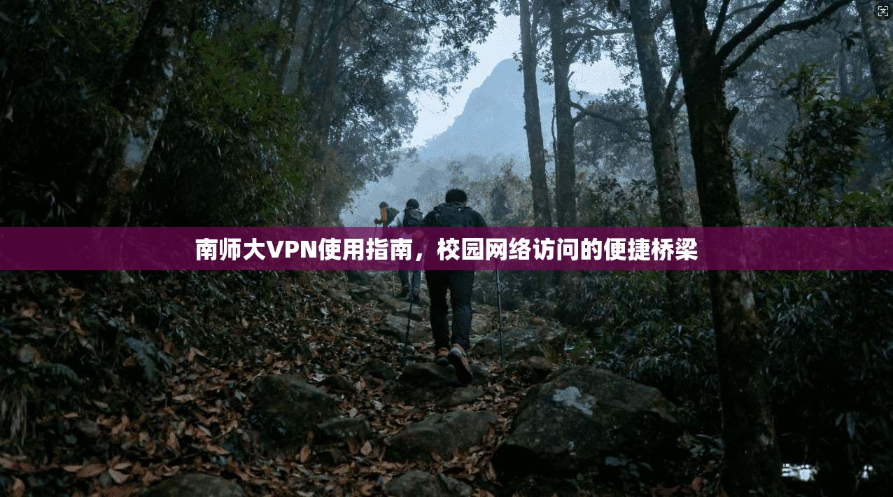 南师大VPN使用指南，校园网络访问的便捷桥梁