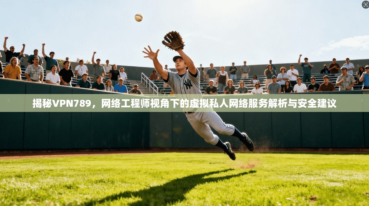 揭秘VPN789，网络工程师视角下的虚拟私人网络服务解析与安全建议