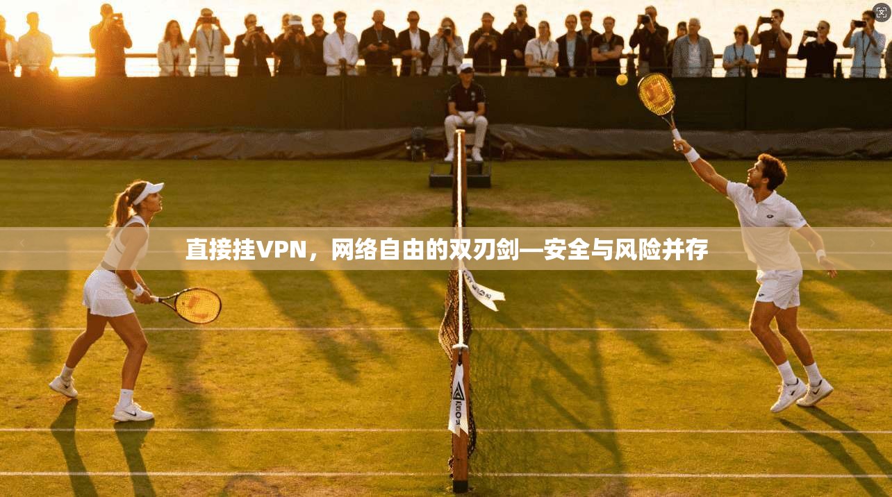 直接挂VPN，网络自由的双刃剑—安全与风险并存