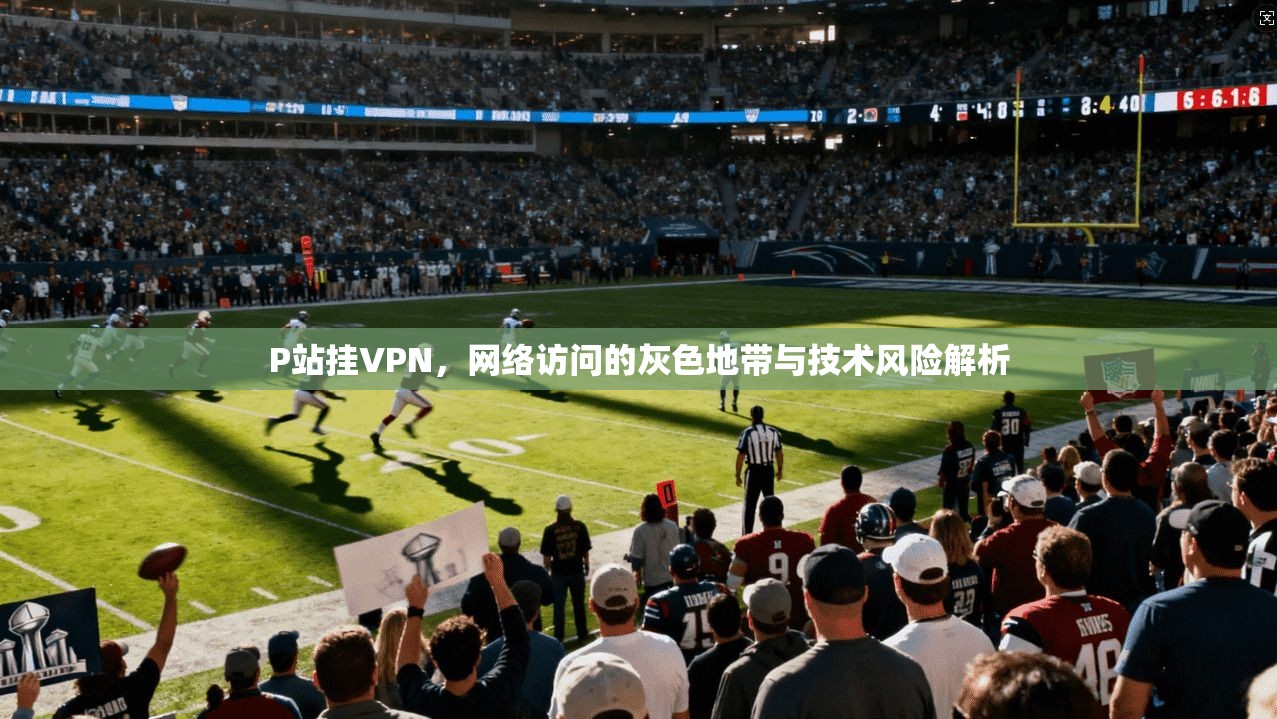 P站挂VPN，网络访问的灰色地带与技术风险解析