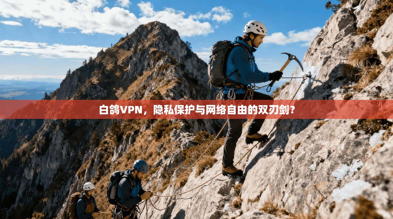 白鸽VPN，隐私保护与网络自由的双刃剑？