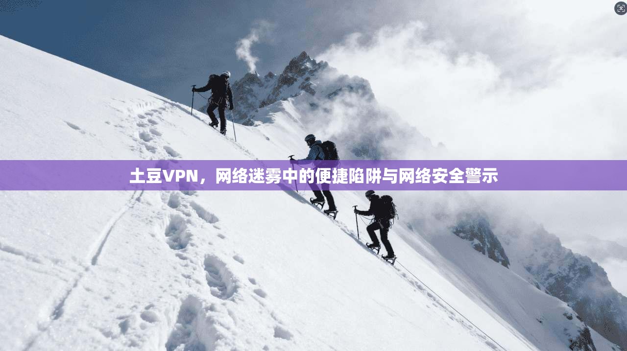土豆VPN,网络迷雾中的便捷陷阱与网络安全警示