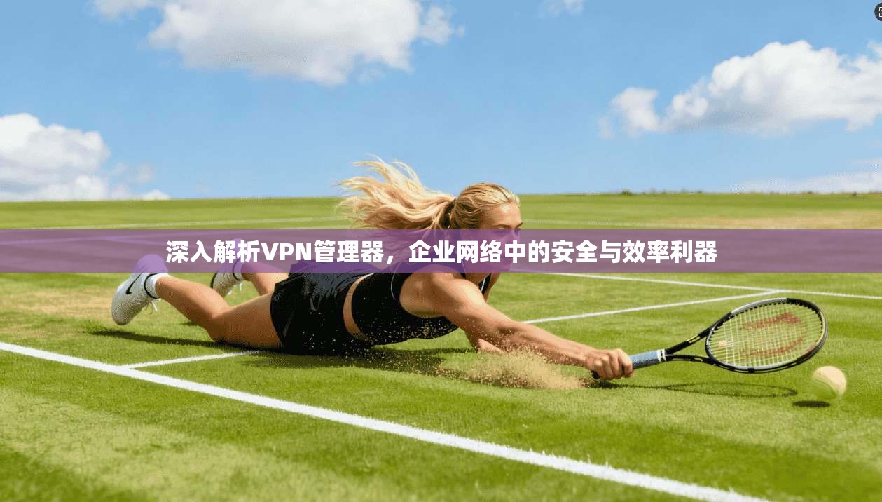 深入解析VPN管理器，企业网络中的安全与效率利器