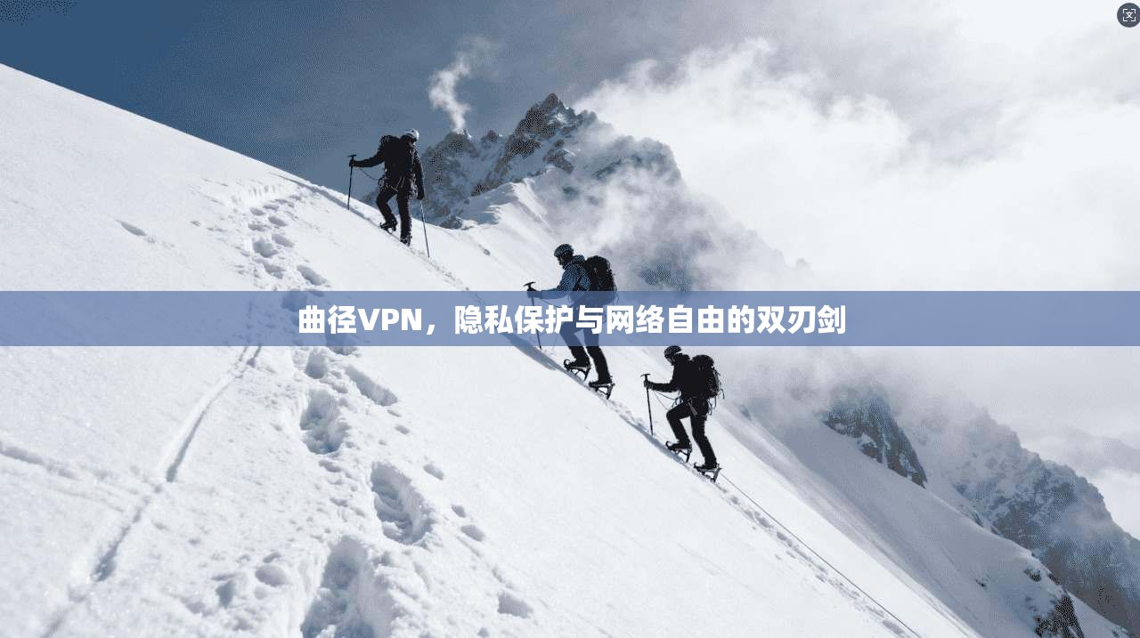 曲径VPN，隐私保护与网络自由的双刃剑