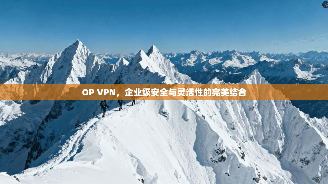 OP VPN，企业级安全与灵活性的完美结合