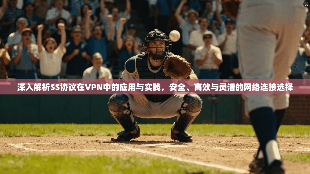 深入解析SS协议在VPN中的应用与实践，安全、高效与灵活的网络连接选择