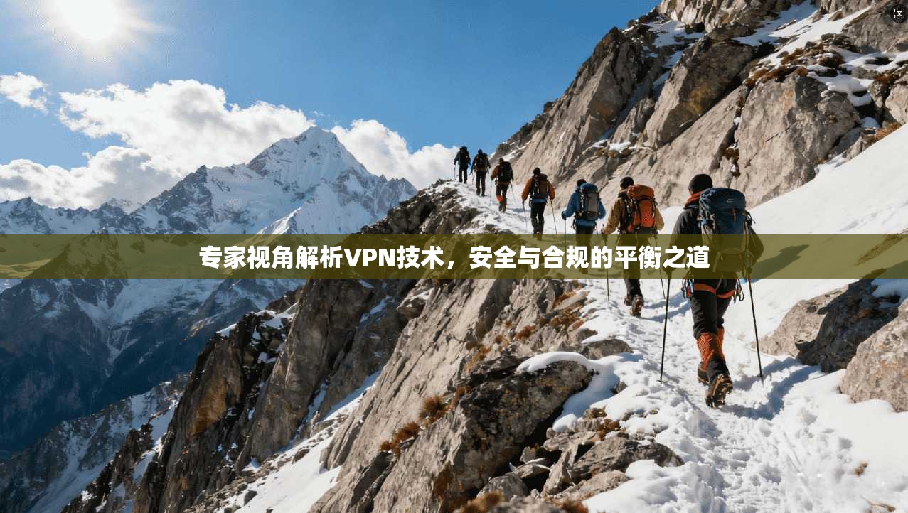 专家视角解析VPN技术，安全与合规的平衡之道