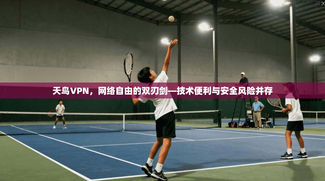 天鸟VPN，网络自由的双刃剑—技术便利与安全风险并存