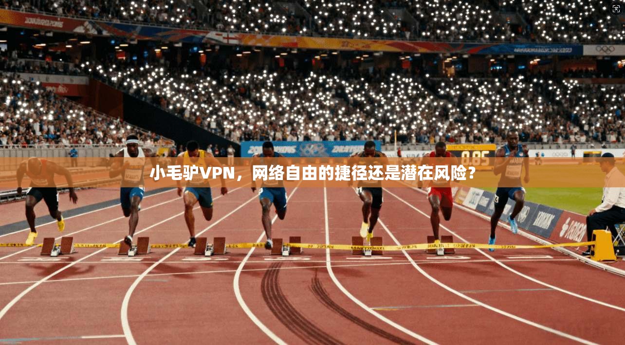 小毛驴VPN,网络自由的捷径还是潜在风险? 小毛驴VPN,网络自由的捷径还是潜在风险?