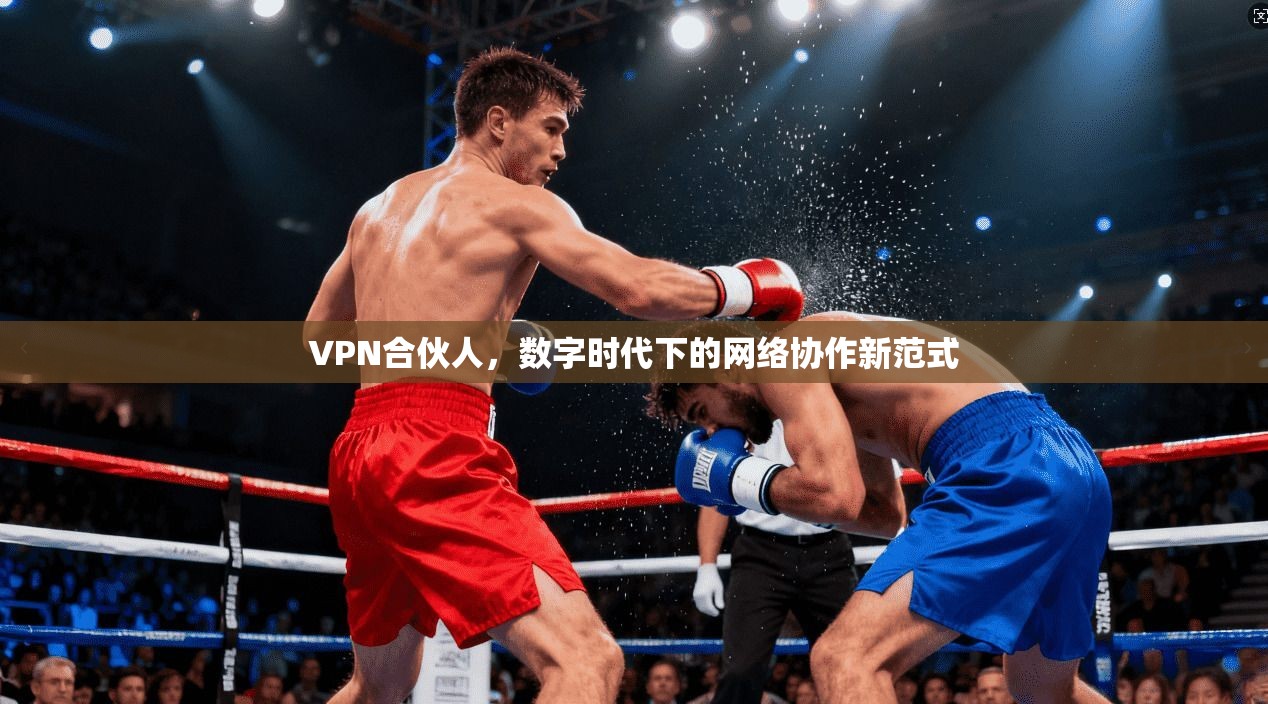 VPN合伙人，数字时代下的网络协作新范式
