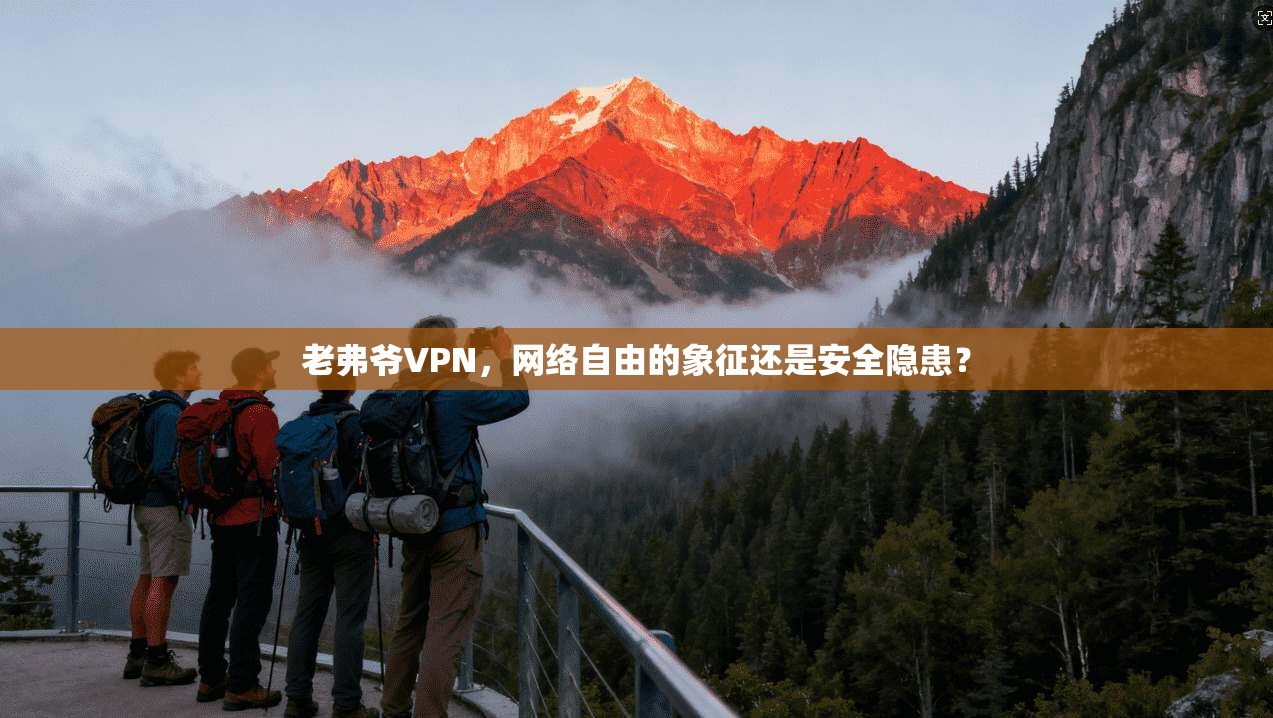 老弗爷VPN,网络自由的象征还是安全隐患?