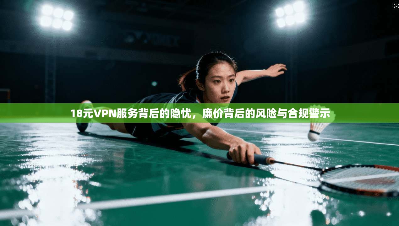 18元VPN服务背后的隐忧，廉价背后的风险与合规警示