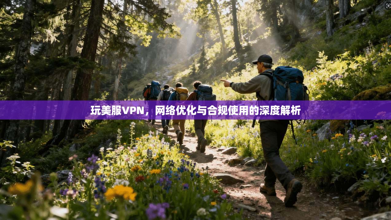 玩美服VPN，网络优化与合规使用的深度解析