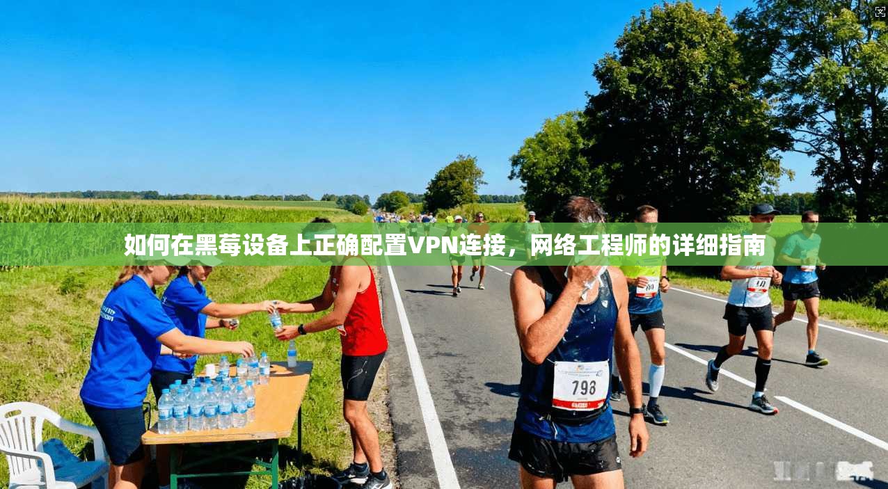 如何在黑莓设备上正确配置VPN连接，网络工程师的详细指南