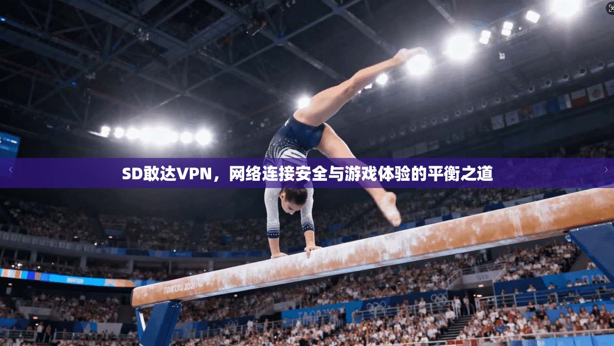 SD敢达VPN,网络连接安全与游戏体验的平衡之道