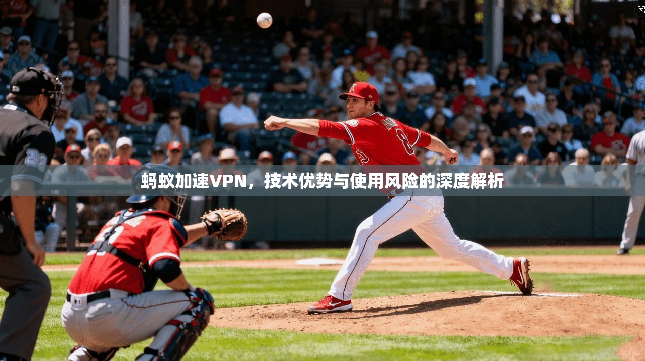 蚂蚁加速VPN,技术优势与使用风险的深度解析