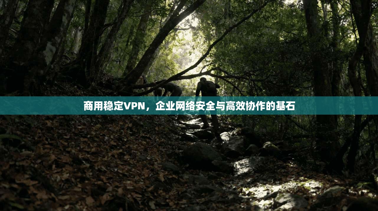 商用稳定VPN，企业网络安全与高效协作的基石