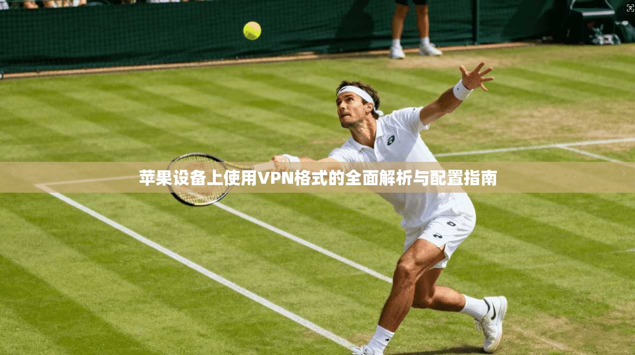 苹果设备上使用VPN格式的全面解析与配置指南