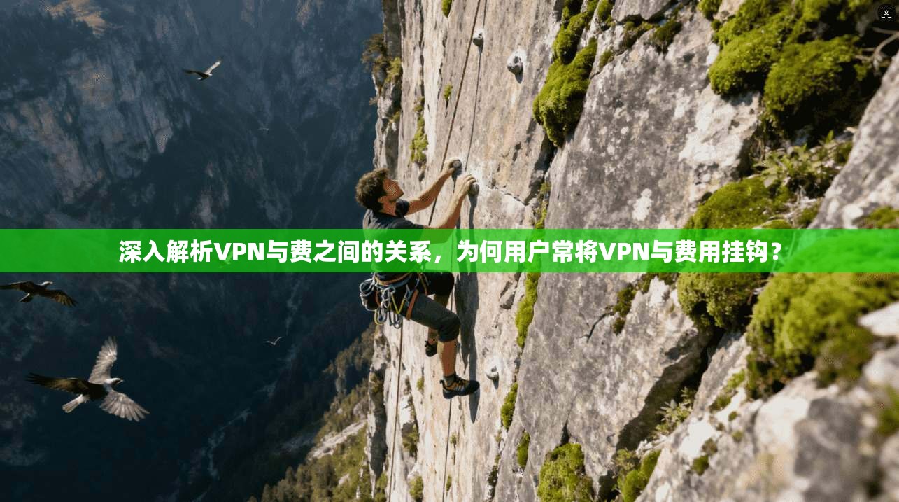 深入解析VPN与费之间的关系，为何用户常将VPN与费用挂钩？