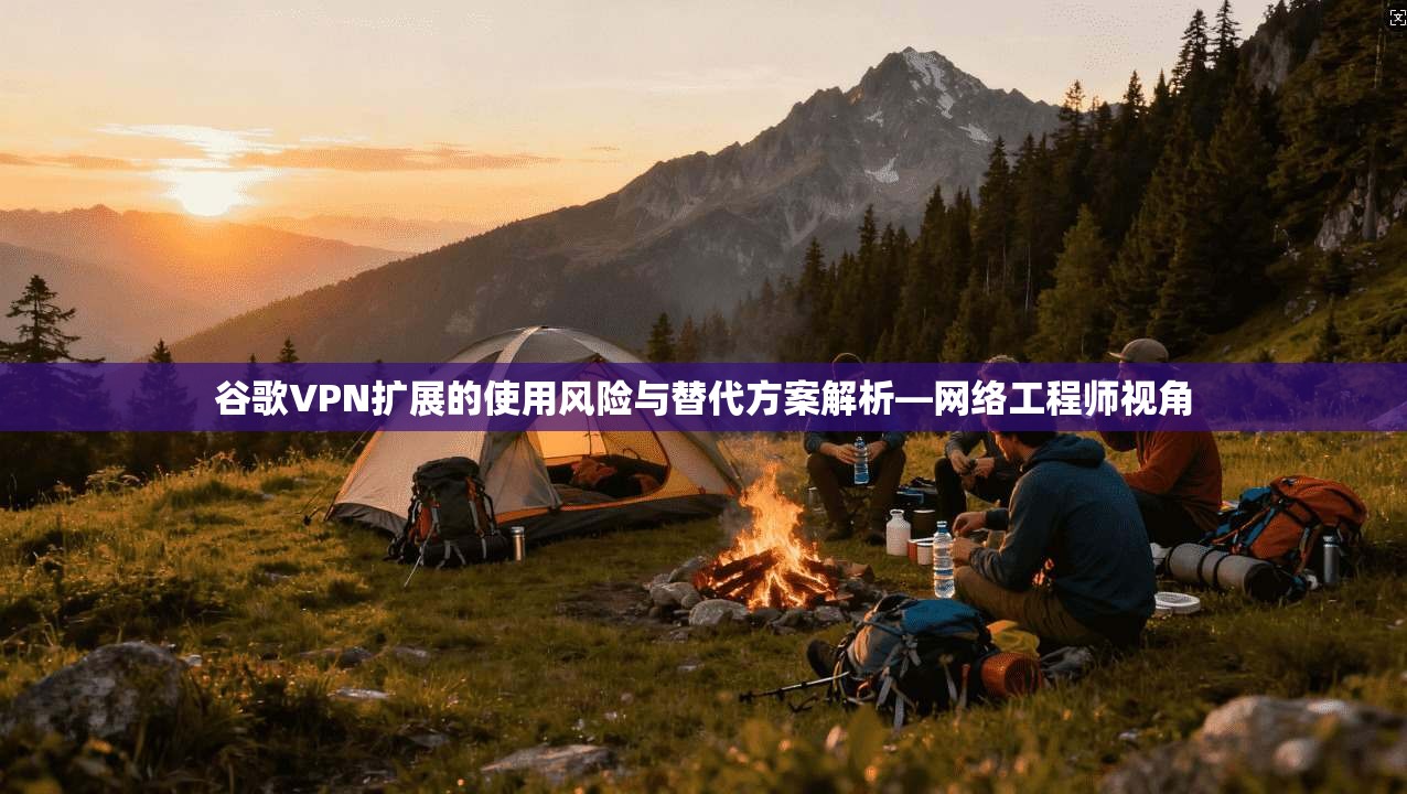 谷歌VPN扩展的使用风险与替代方案解析—网络工程师视角