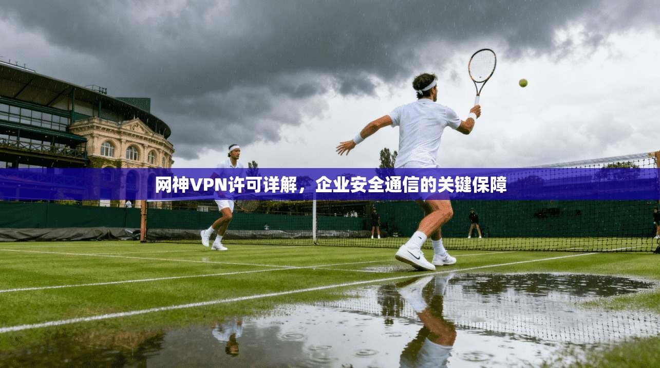 网神VPN许可详解，企业安全通信的关键保障