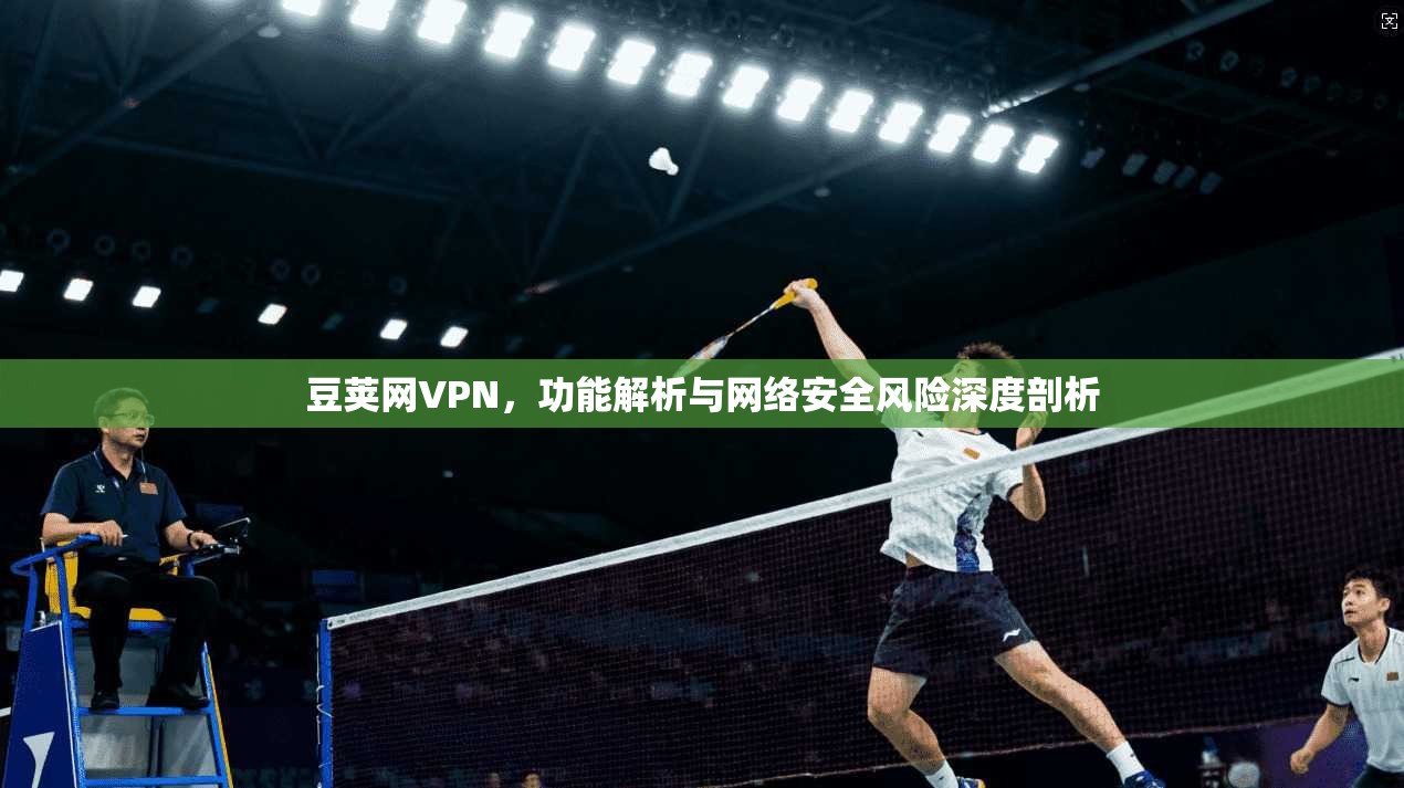 豆荚网VPN，功能解析与网络安全风险深度剖析