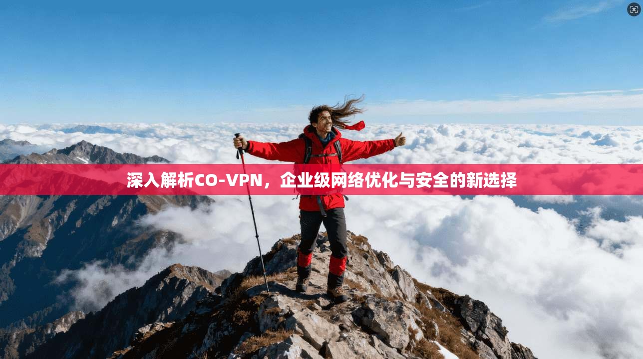深入解析CO-VPN，企业级网络优化与安全的新选择