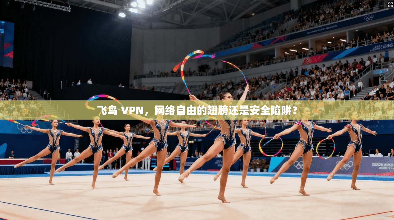 飞鸟 VPN，网络自由的翅膀还是安全陷阱？