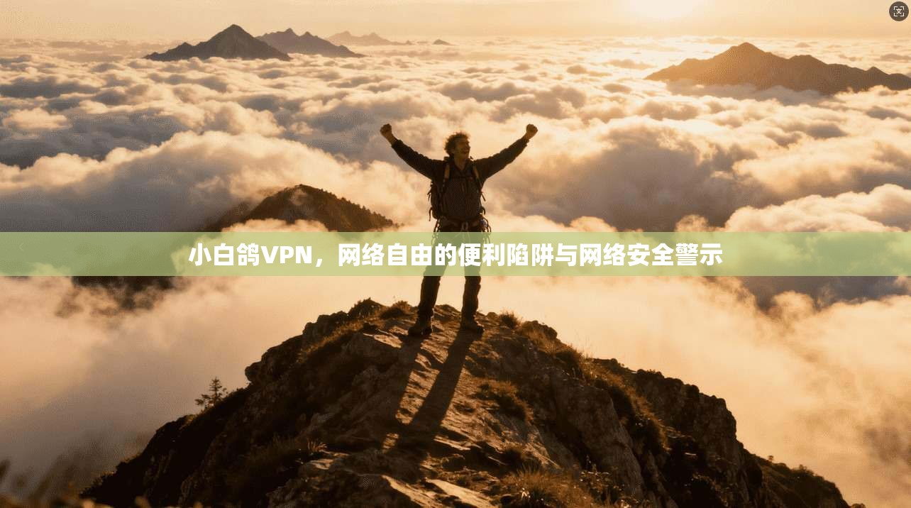 小白鸽VPN，网络自由的便利陷阱与网络安全警示
