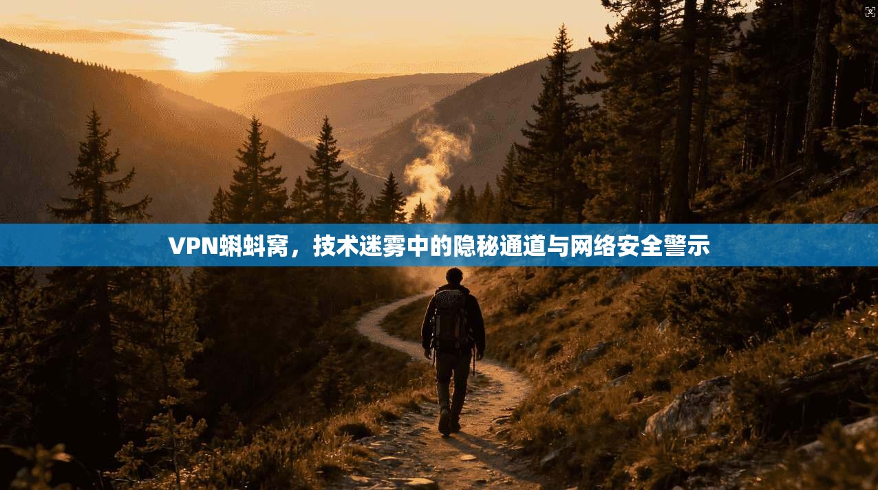 VPN蝌蚪窝，技术迷雾中的隐秘通道与网络安全警示