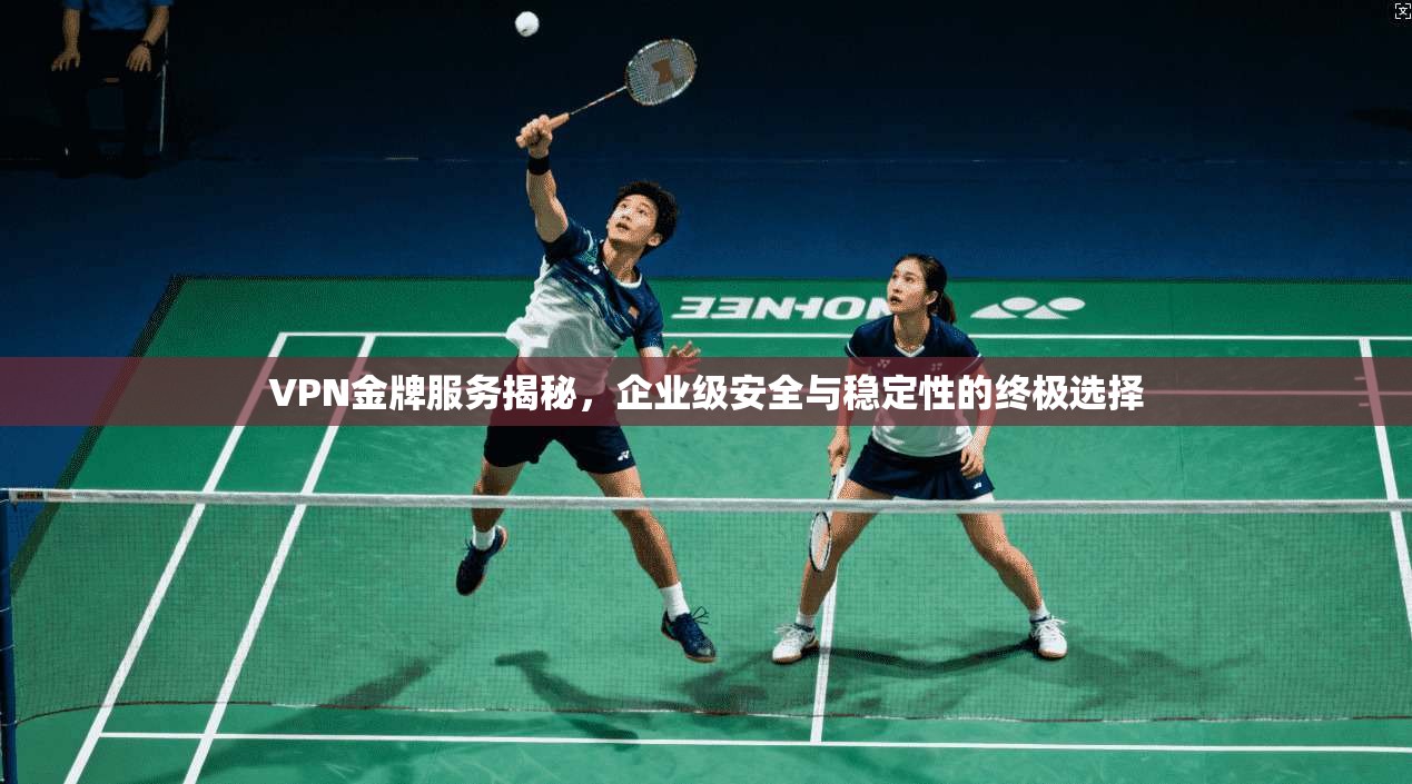 VPN金牌服务揭秘，企业级安全与稳定性的终极选择