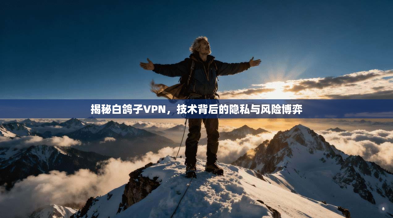揭秘白鸽子VPN，技术背后的隐私与风险博弈