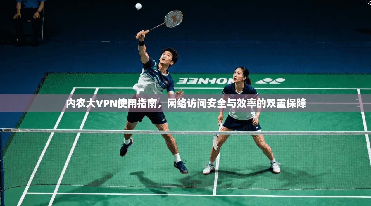 内农大VPN使用指南，网络访问安全与效率的双重保障