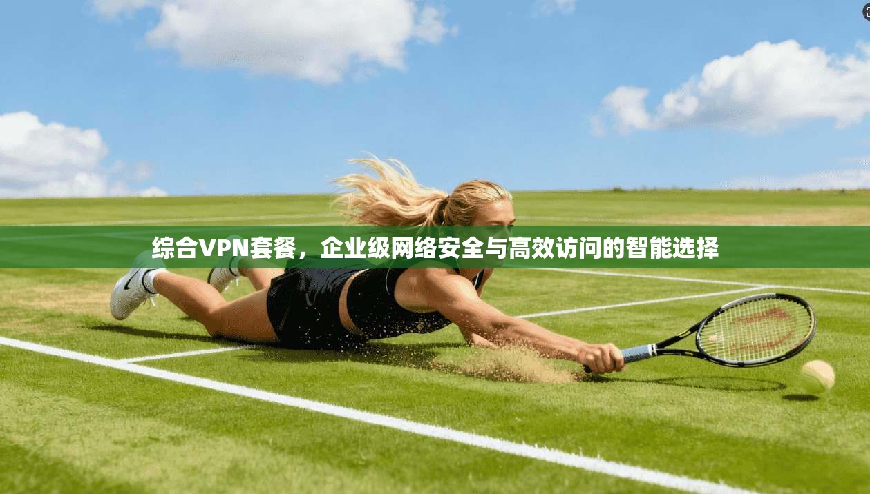 综合VPN套餐，企业级网络安全与高效访问的智能选择