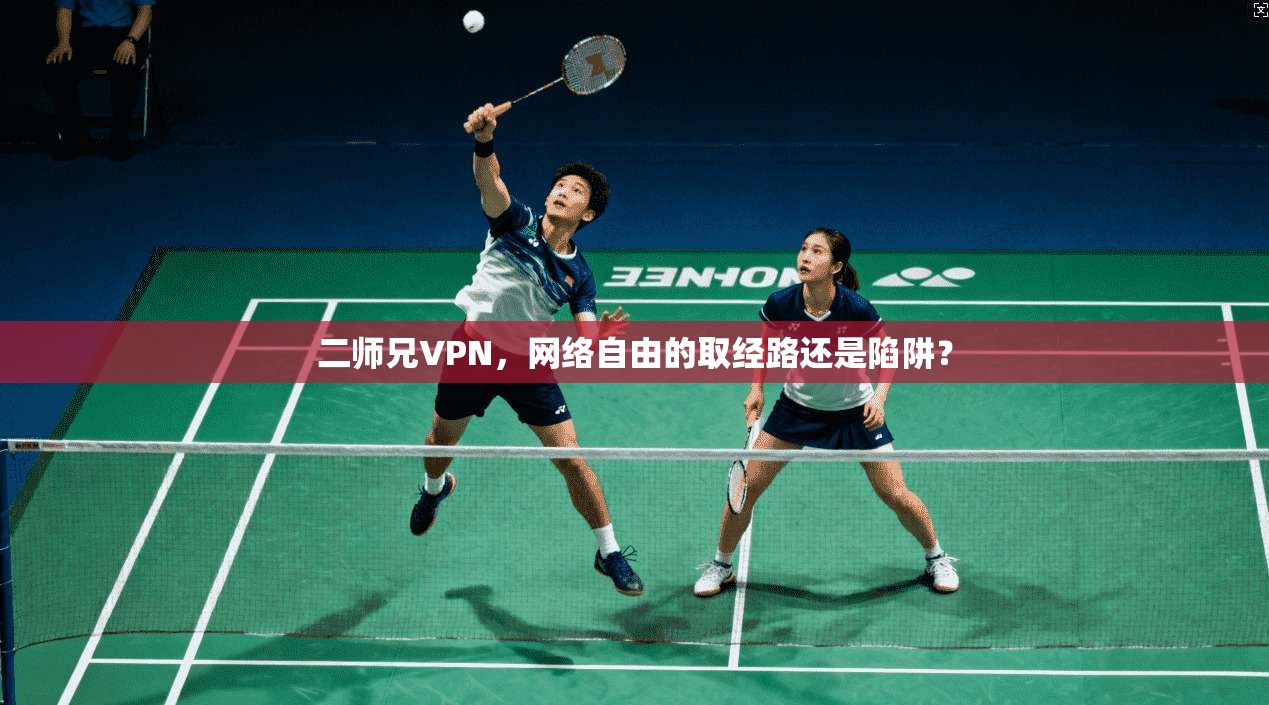 二师兄VPN，网络自由的取经路还是陷阱？