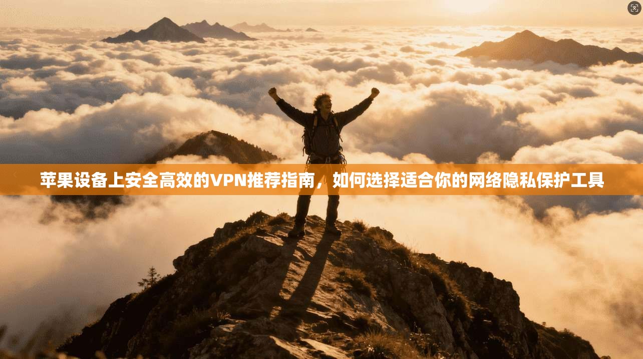 苹果设备上安全高效的VPN推荐指南，如何选择适合你的网络隐私保护工具