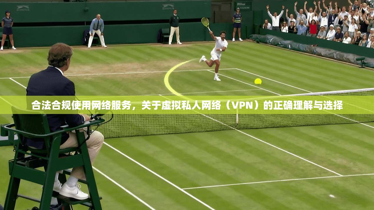 合法合规使用网络服务，关于虚拟私人网络（VPN）的正确理解与选择