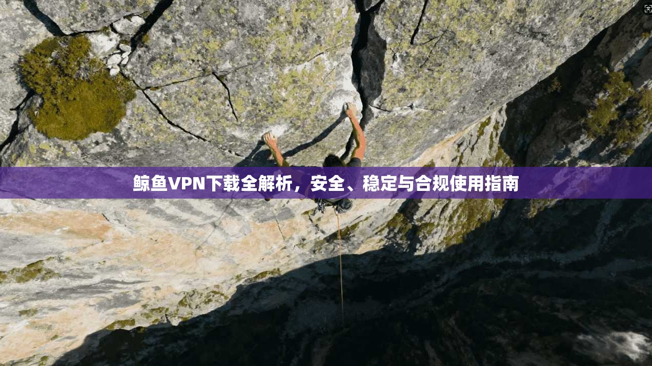 鲸鱼VPN下载全解析,安全、稳定与合规使用指南