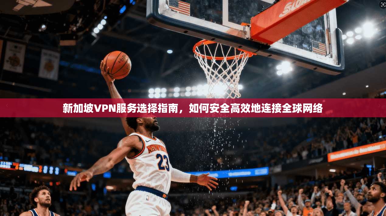 新加坡VPN服务选择指南，如何安全高效地连接全球网络
