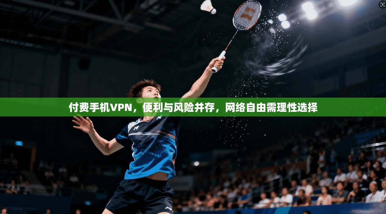 付费手机VPN，便利与风险并存，网络自由需理性选择  第1张