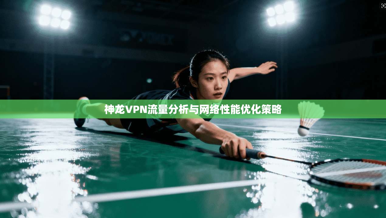 神龙VPN流量分析与网络性能优化策略