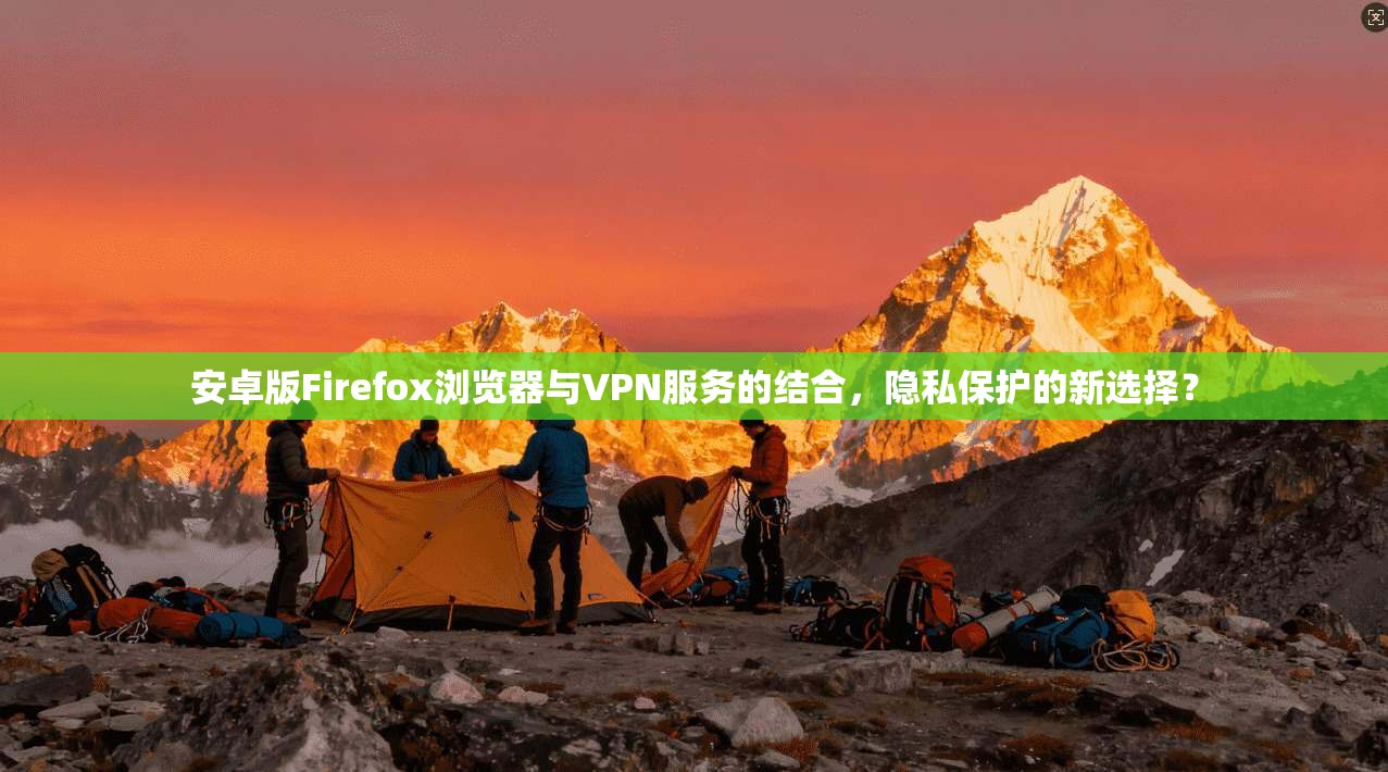 安卓版Firefox浏览器与VPN服务的结合,隐私保护的新选择?