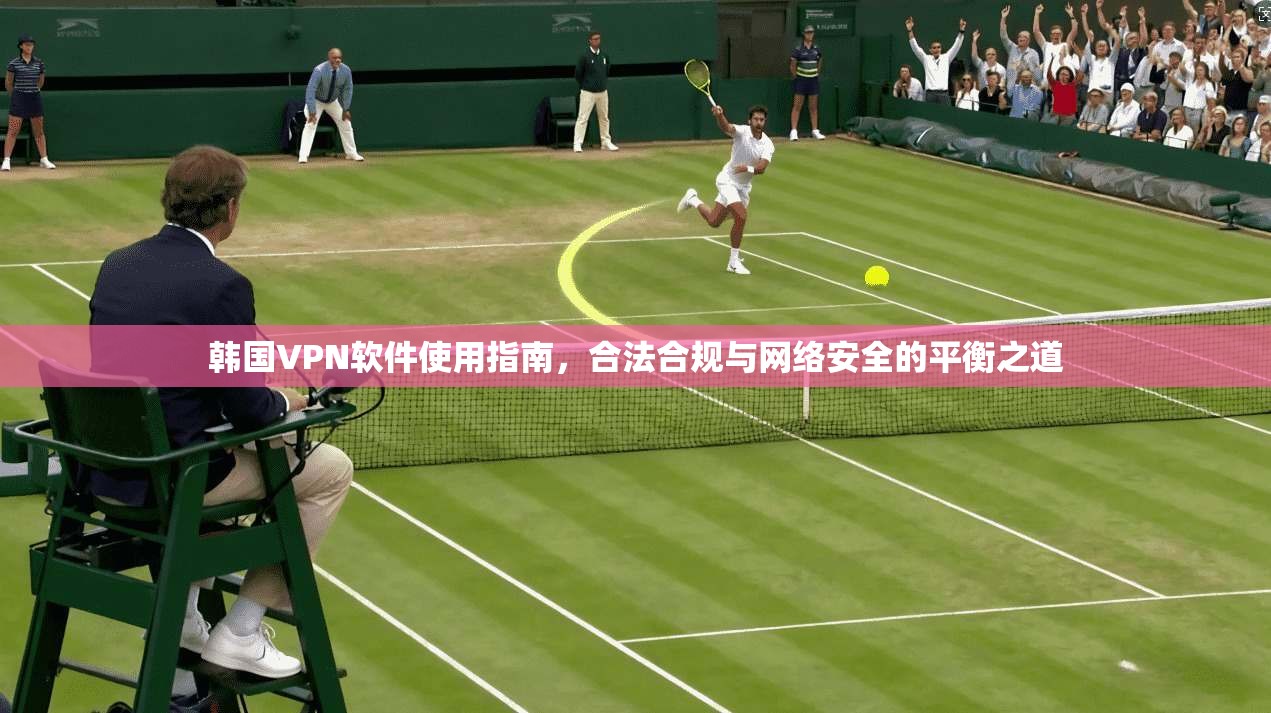 韩国VPN软件使用指南，合法合规与网络安全的平衡之道