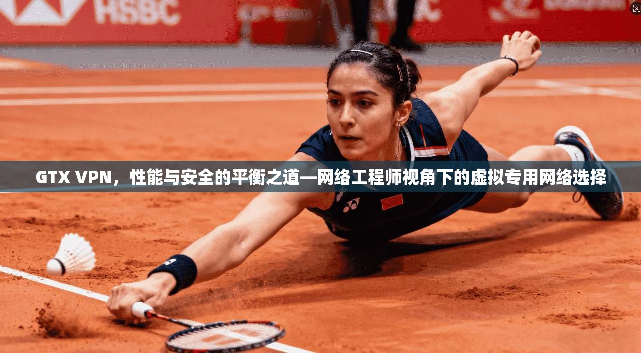 GTX VPN，性能与安全的平衡之道—网络工程师视角下的虚拟专用网络选择