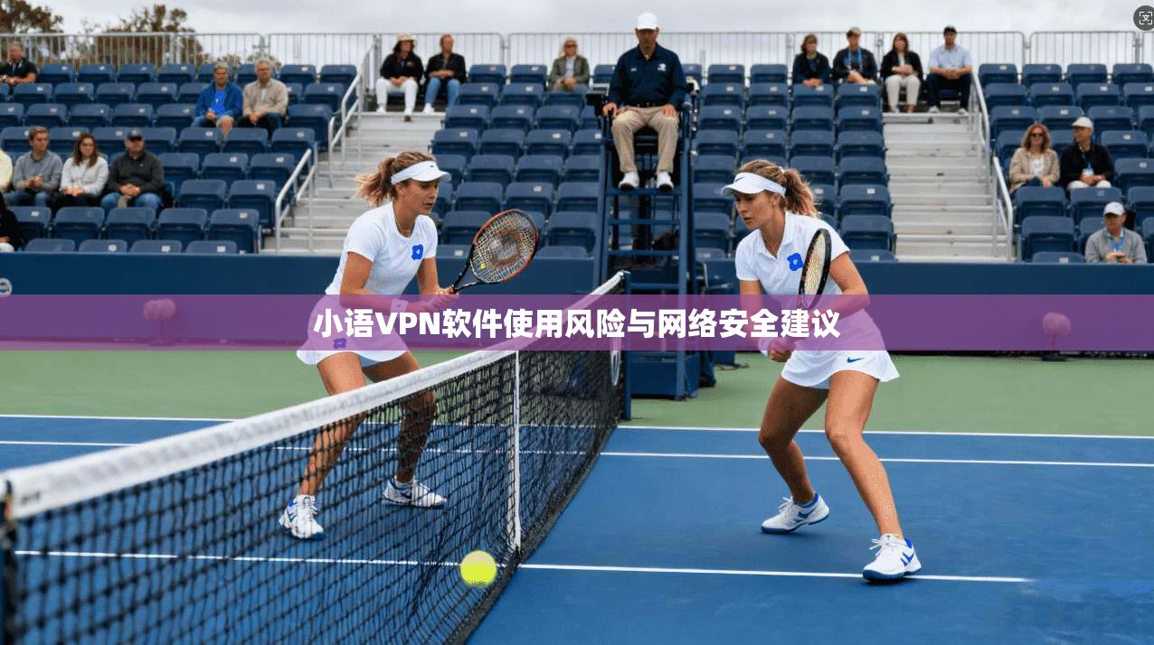 小语VPN软件使用风险与网络安全建议