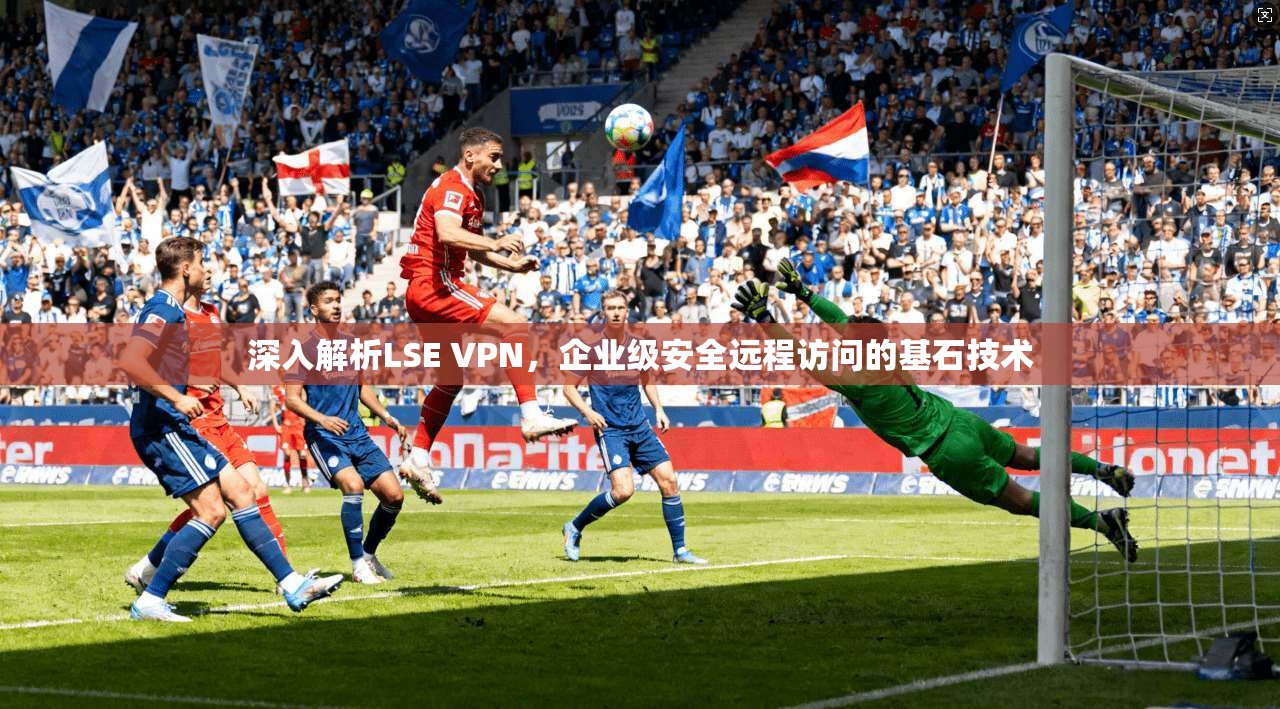 深入解析LSE VPN，企业级安全远程访问的基石技术